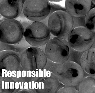 Responsible Innnovation